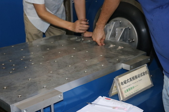 Le dispositif trembleur à haute fréquence de vibration pour des pièces d'auto rencontrent OIN 13355, ISTA 3A et ISTA 6 - Amazone